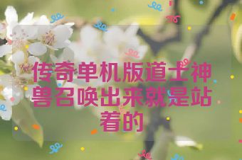 传奇单机版道士神兽召唤出来就是站着的