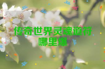 传奇世界灵魂道符哪里爆