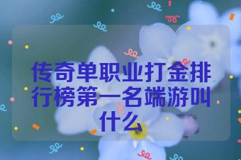 传奇单职业打金排行榜第一名端游叫什么