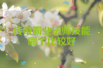 传奇霸业法师技能哪个比较好