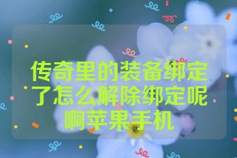 传奇里的装备绑定了怎么解除绑定呢啊苹果手机