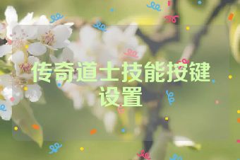 传奇道士技能按键设置
