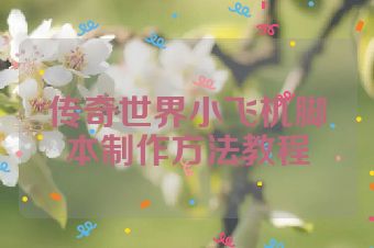 传奇世界小飞机脚本制作方法教程
