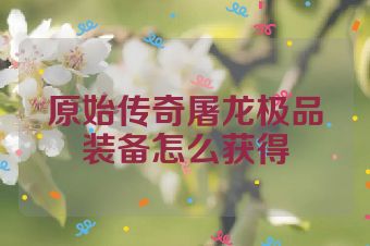 原始传奇屠龙极品装备怎么获得
