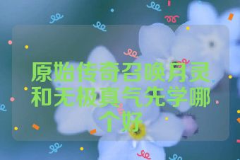 原始传奇召唤月灵和无极真气先学哪个好