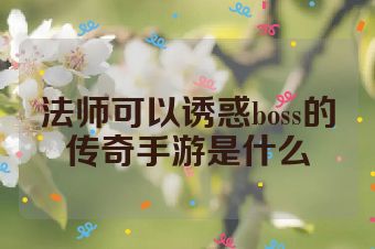 法师可以诱惑boss的传奇手游是什么