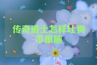 传奇道士怎样让狗不跟随