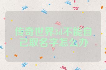 传奇世界3d不能自己取名字怎么办