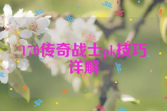 170传奇战士pk技巧详解