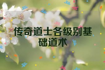 传奇道士各级别基础道术