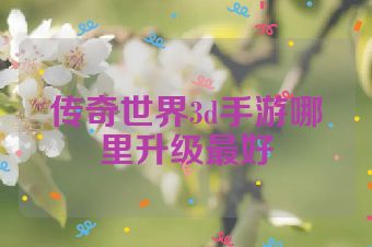 传奇世界3d手游哪里升级最好