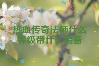热血传奇法师什么等级带什么装备