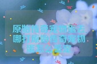 原始传奇宠物蛋去哪打原始传奇宠物蛋怎么鉴定