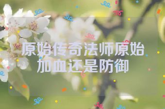 原始传奇法师原始加血还是防御