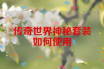 传奇世界神秘套装如何使用