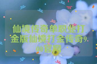 仙境传奇单职业打金版仙境打金传奇900官网