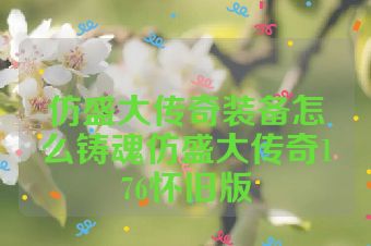 仿盛大传奇装备怎么铸魂仿盛大传奇176怀旧版