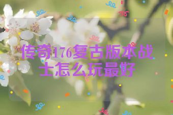 传奇176复古版本战士怎么玩最好