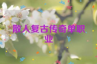 散人复古传奇单职业