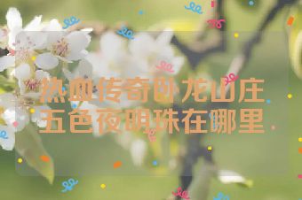 热血传奇卧龙山庄五色夜明珠在哪里