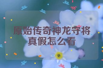 原始传奇神龙守将真假怎么看