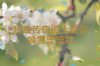 热血传奇道士能召唤哪些宠物