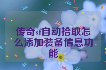 传奇sf自动拾取怎么添加装备信息功能