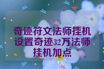 奇迹符文法师挂机设置奇迹32万法师挂机加点