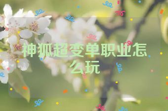 神狐超变单职业怎么玩