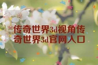 传奇世界3d视角传奇世界3d官网入口