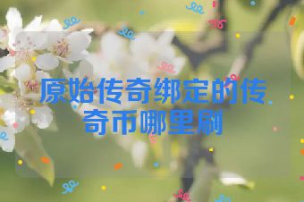 原始传奇绑定的传奇币哪里刷