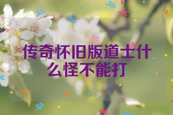 传奇怀旧版道士什么怪不能打