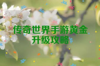 传奇世界手游黄金升级攻略