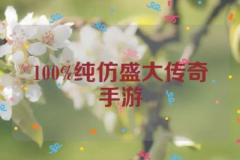 100%纯仿盛大传奇手游