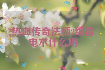 热血传奇法师2级雷电术什么用