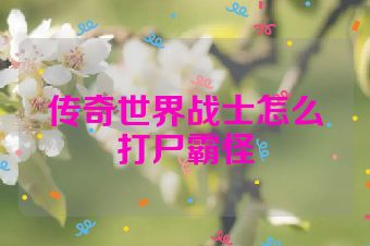 传奇世界战士怎么打尸霸怪