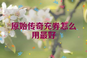 原始传奇充券怎么用最好