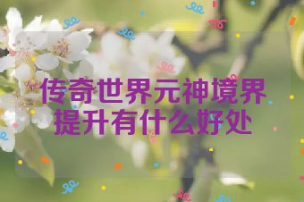传奇世界元神境界提升有什么好处