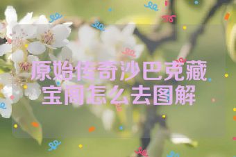 原始传奇沙巴克藏宝阁怎么去图解