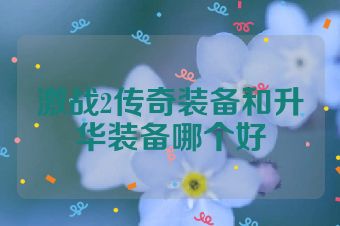 激战2传奇装备和升华装备哪个好