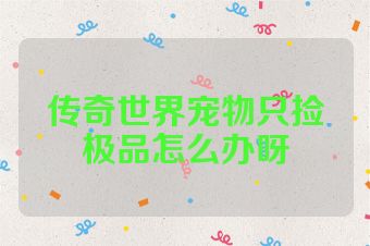 传奇世界宠物只捡极品怎么办呀