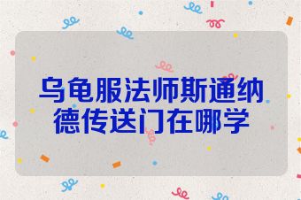 乌龟服法师斯通纳德传送门在哪学