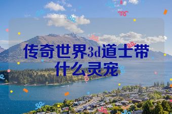 传奇世界3d道士带什么灵宠