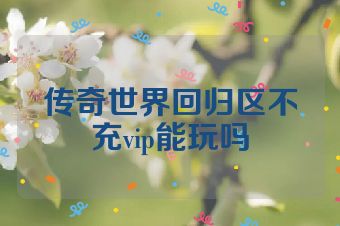 传奇世界回归区不充vip能玩吗