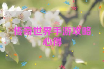 传奇世界手游攻略心得