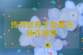 传奇世界手游魔法师在哪里