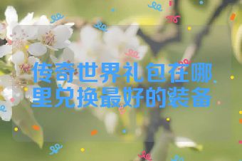 传奇世界礼包在哪里兑换最好的装备