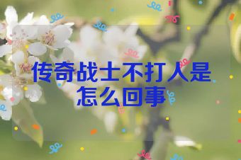 传奇战士不打人是怎么回事
