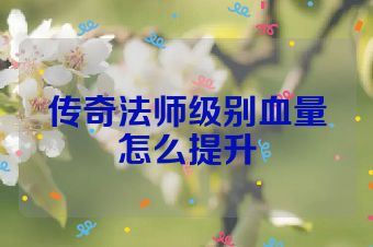 传奇法师级别血量怎么提升