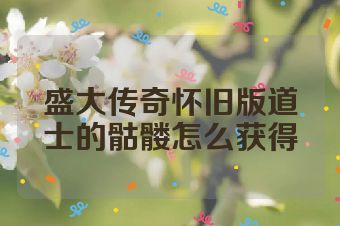 盛大传奇怀旧版道士的骷髅怎么获得